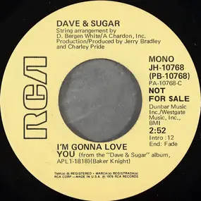 Dave and Sugar - I'm Gonna Love You