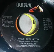 7inch Vinyl Single - Dave And Sugar - Stay With Me