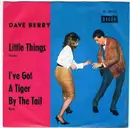 7inch Vinyl Single - Dave Berry - Little Things