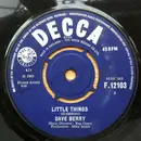 7inch Vinyl Single - Dave Berry - Little Things / I've Got A Tiger By The Tail