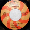 7inch Vinyl Single - Dave Dudley - There Ain't No Easy Run / Why I Can't Be With You