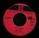 7inch Vinyl Single - Dave Davies - Lincoln County - No cover