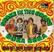Dave Dee, Dozy, Beaky, Mick & Tich - Snake In The Grass / Bora Bora