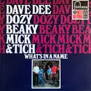 LP - Dave Dee, Dozy, Beaky, Mick & Tich - What's In A Name