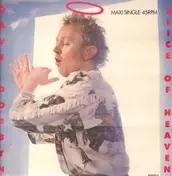 Dave Dobbyn - Slice Of Heaven