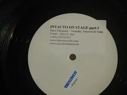 Dave Ellesmere / Polder - Intacto On Stage Part 1