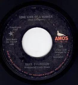 Dave Ellingson - Some Kind Of A Summer