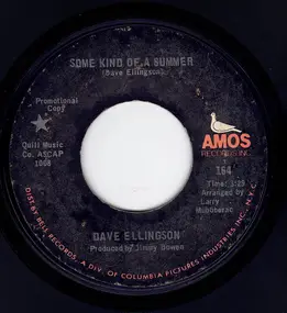 Dave Ellingson - Some Kind Of A Summer