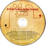 CD - Dave Ellis - Everything In Between - cardboard gatefold sleeve
