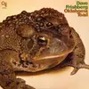 LP - Dave Frishberg - Oklahoma Toad