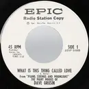 7inch Vinyl Single - Dave Grusin - What Is This Thing Called Love