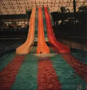 Dave Harrington Group