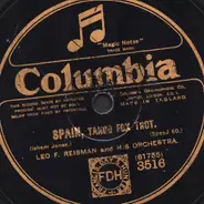 Dave Harmon and His Orchestra / Leo F. Reisman and His Orchestra - Are You Lonely? / Spain