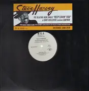 12'' - DAVE HOLLISTER FEAT CAM'RON - KEEP LOVIN' YOU