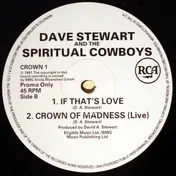 Dave Stewart And The Spiritual Cowboys - Crown Of Madness