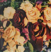 Dave Stewart And The Spiritual Cowboys