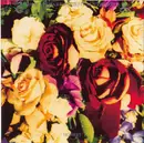 CD - Dave Stewart & The Spiritual Cowboys - Honest