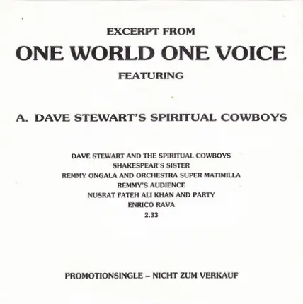 Dave Stewart And The Spiritual Cowboys / Michael Rose - Excerpt From ONE WORLD ONE VOICE