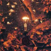 Dave Stewart & Barbara Gaskin - The Big Idea