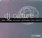 Dave Seaman - DJ Culture 2