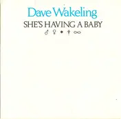 Dave Wakeling - She's Having A Baby