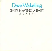 Dave Wakeling - She's Having A Baby