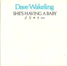 Dave Wakeling - She's Having A Baby