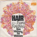 7inch Vinyl Single - Dave Wintour And Pat Whitmore - Hara Krishna (Be-In)