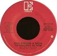 Dave And Sugar - The Pleasure's All Mine