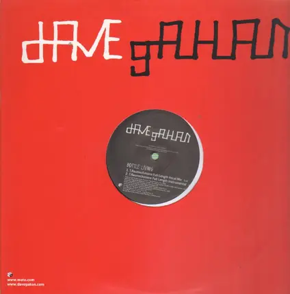 Dave Gahan - Bottle Living