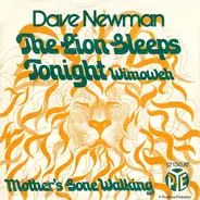 Dave Newman - The Lion Sleeps Tonight (Wimoweh)