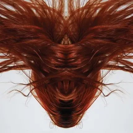 DAVE PHILLIPS - A COLLECTION OF HAIR