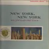 LP - Dave Terry - New York, New York: It's a Wonderful Town - RARE