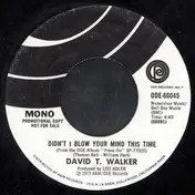 David T. Walker - Didn't I Blow Your Mind This Time