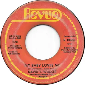 David T. Walker - My Baby Loves Me