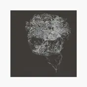 David Toop - Entities Inertias Faint..