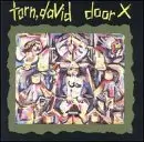 David Torn - Door X