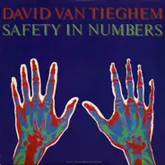 David Van Tieghem - Safety in Numbers