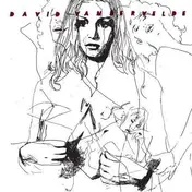 David Vandervelde - Jacket B/W Murder In Michigan