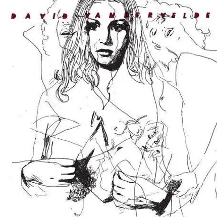 David Vandervelde - Jacket B/W Murder In Michigan