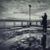 David Weiss - When Words Fail