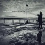 David Weiss - When Words Fail