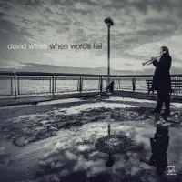 David Weiss - When Words Fail