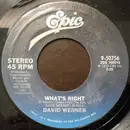 7inch Vinyl Single - David Werner - What's Right / Eye To Eye
