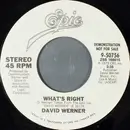 7inch Vinyl Single - David Werner - What's Right