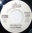 7inch Vinyl Single - David Werner - Too Late To Try