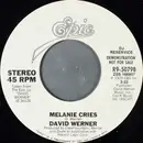 7inch Vinyl Single - David Werner - Melanie Cries