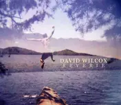 David Wilcox - Reverie