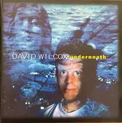 David Wilcox - Underneath