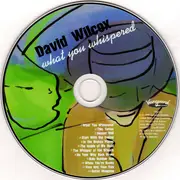 CD - David Wilcox - What You Whispered